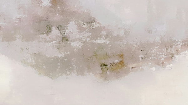 Warm Nordic Neutrals