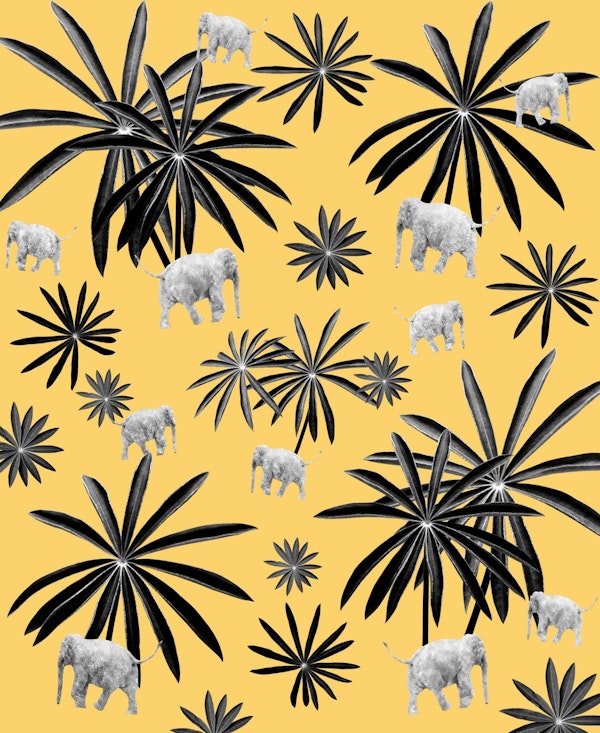 Palm Tree Elephant Jungle 4