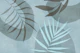 Palm Leaf Serenade Teal Mint
