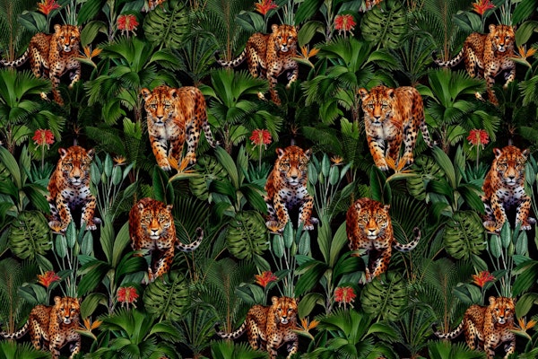 Mystic Midnight Jungle Night