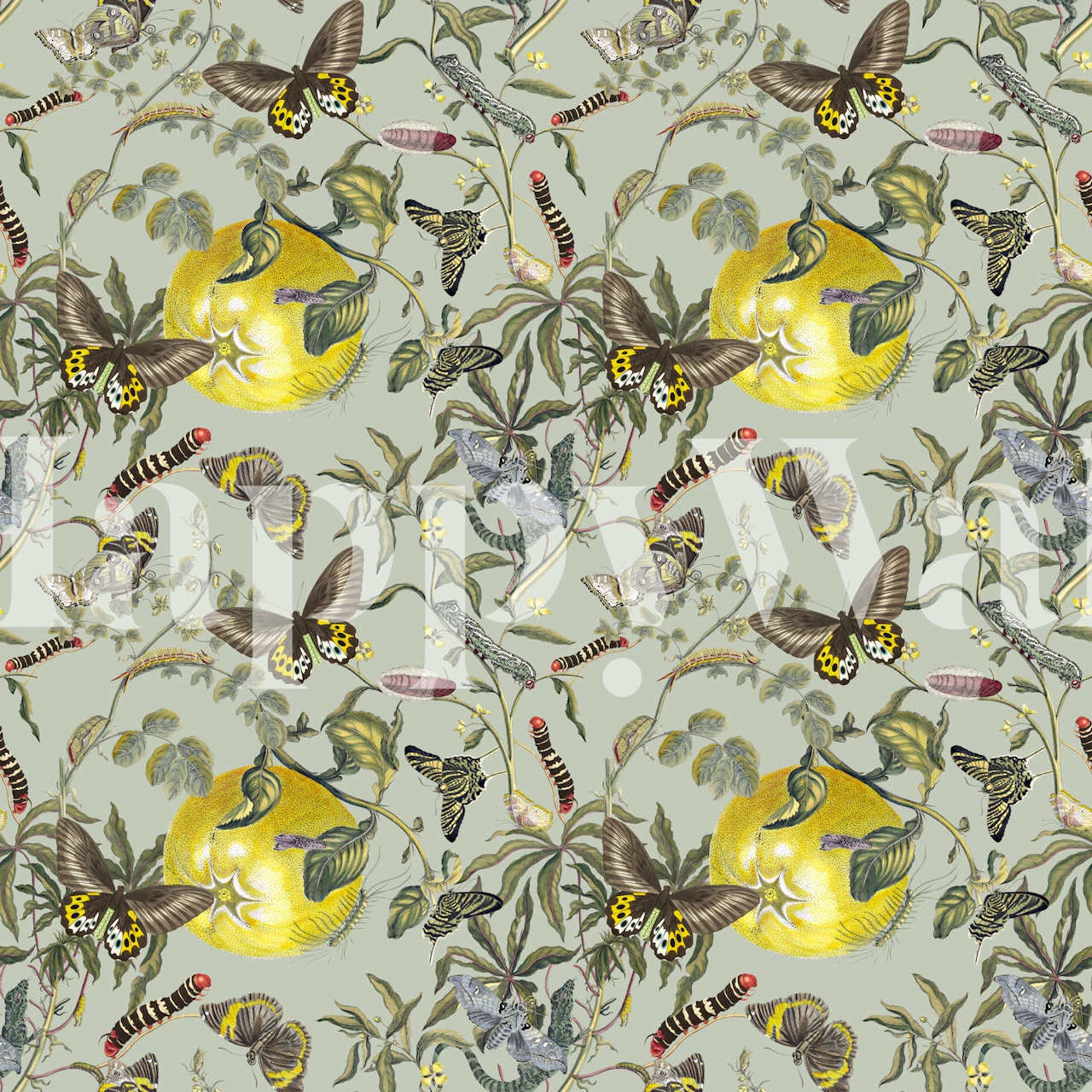 Botanic Fiorenzo 06 wall mural with a pattern of flora and fauna on a muted background.