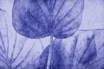 Mural