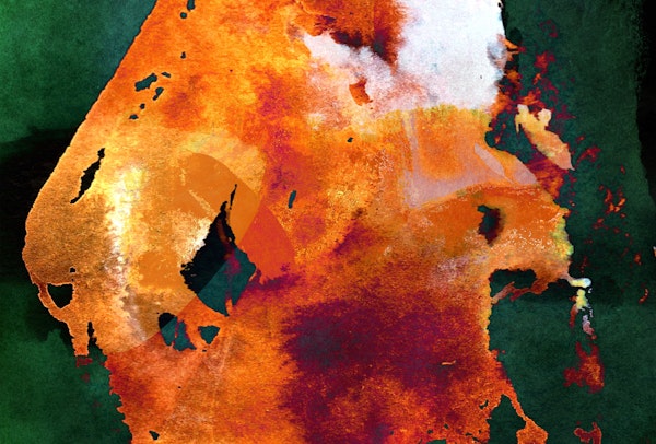 Japanese Wabi Sabi Bold