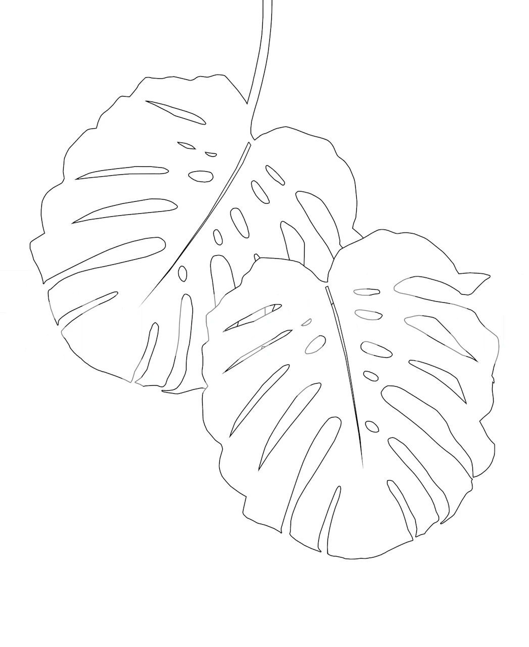 Monstera Leaves Finesse 1 Tapete in einem Raum