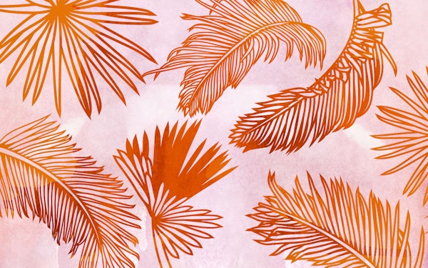 Pastel Jungle Sunrise