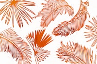 Tropical Sunrise tapete