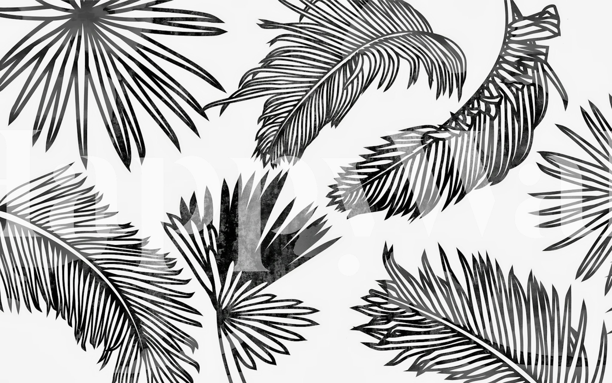 Tropical palm leaves in black and white wallpaper design