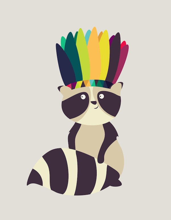Indian Raccoon