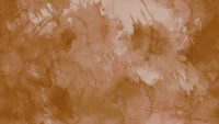 Japanese Wabi Sabi Neutrals tapet