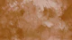 Japanese Wabi Sabi Neutrals