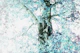Dreamy Birch Tree 2