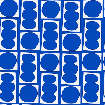 Vzor
