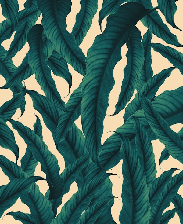 Tropical Banana Leaf Jungle 1