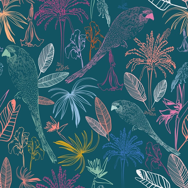 Tropical Macaw Bird Darkgreen