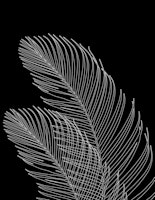 Palm Leaves Finesse Line Art 2 ταπετσαρία