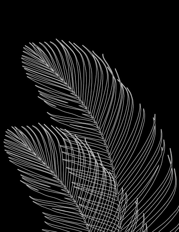Palm Leaves Finesse Line Art 2
