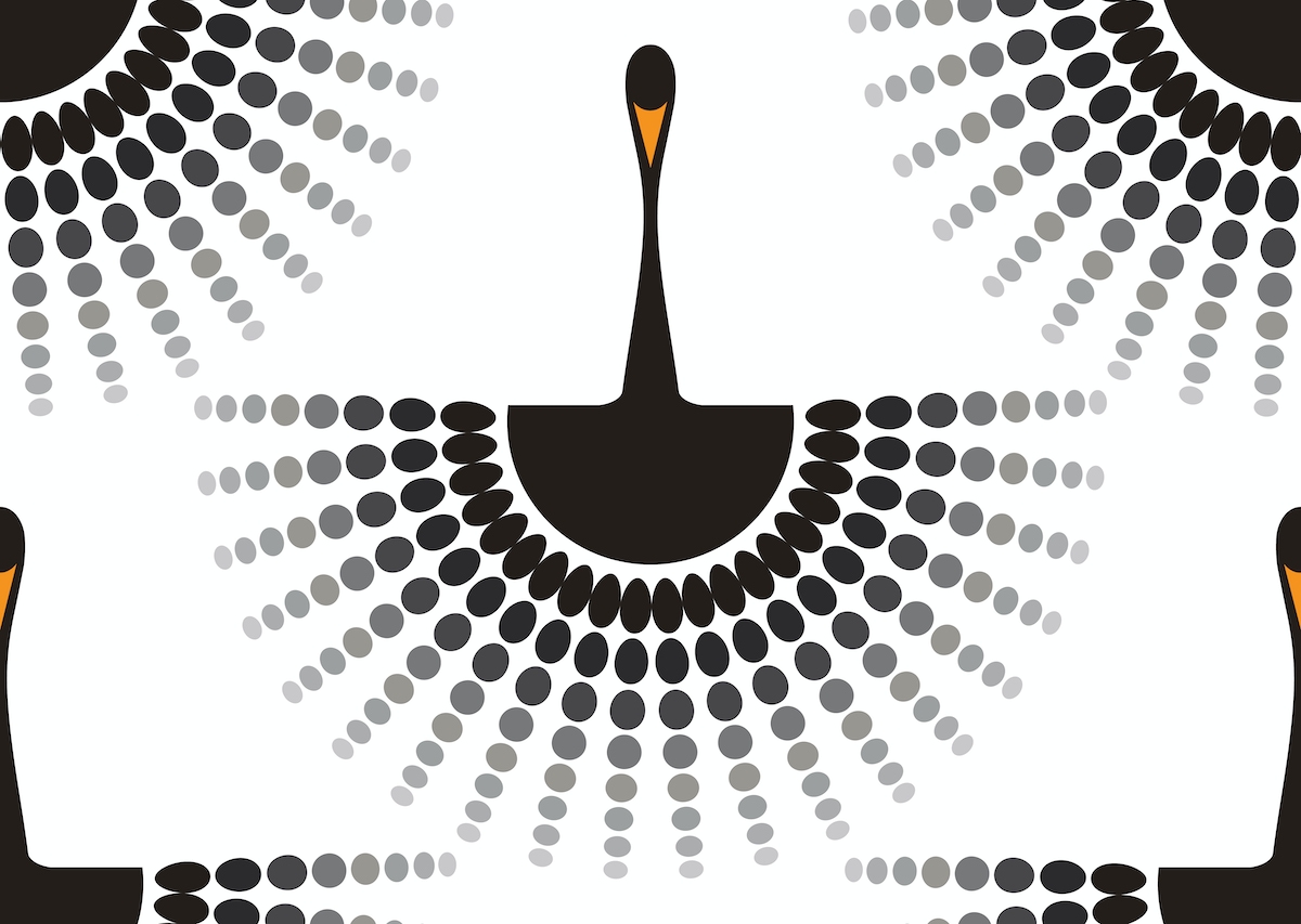 swan