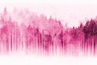Japanese Pine Forest Magenta tapety