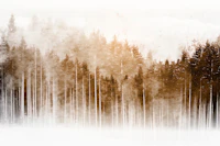 Neutral Japanese Misty Pines tapete