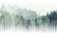 Misty Morning Pines
