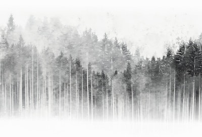 Mural