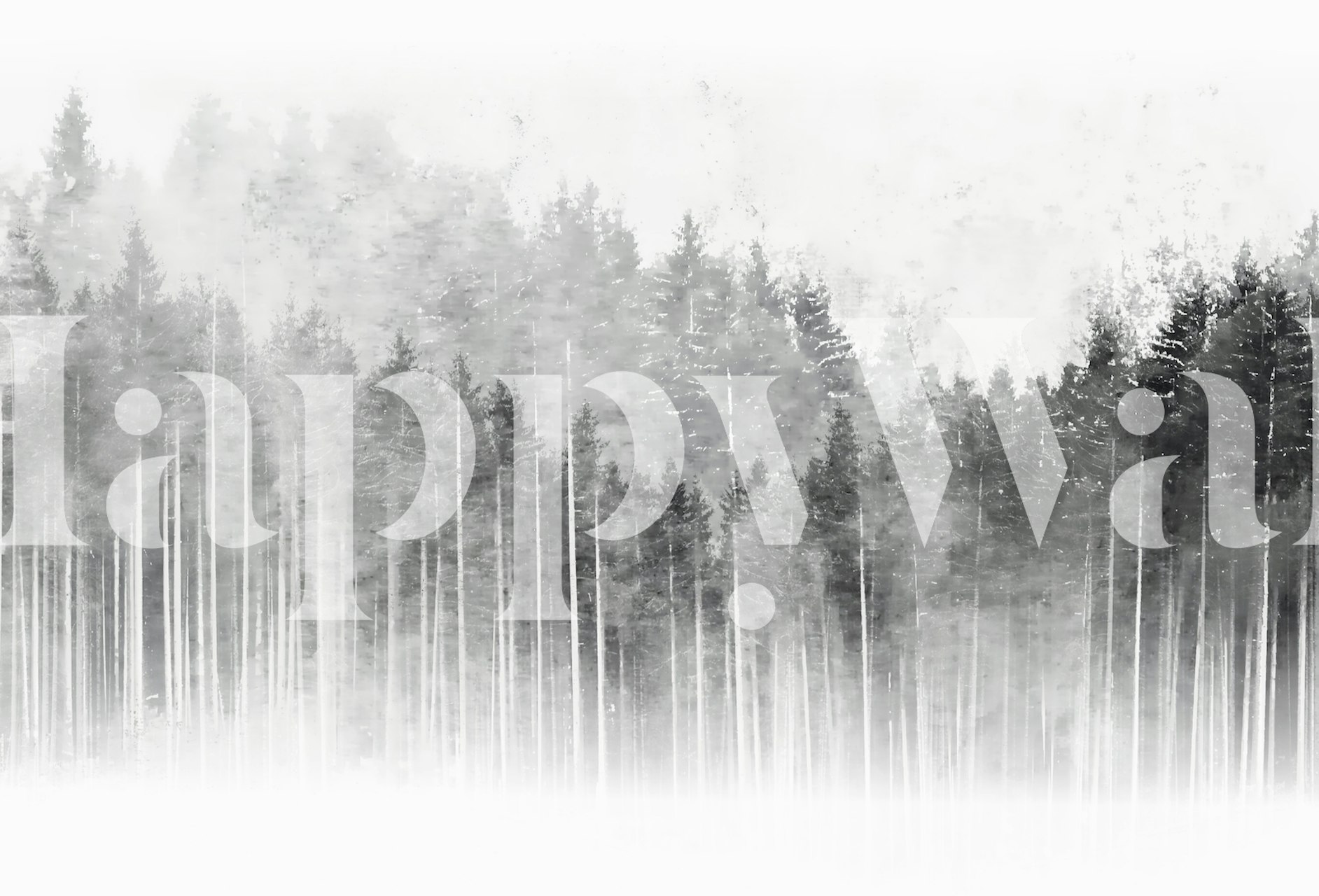 Misty forest black and white wallpaper in a room