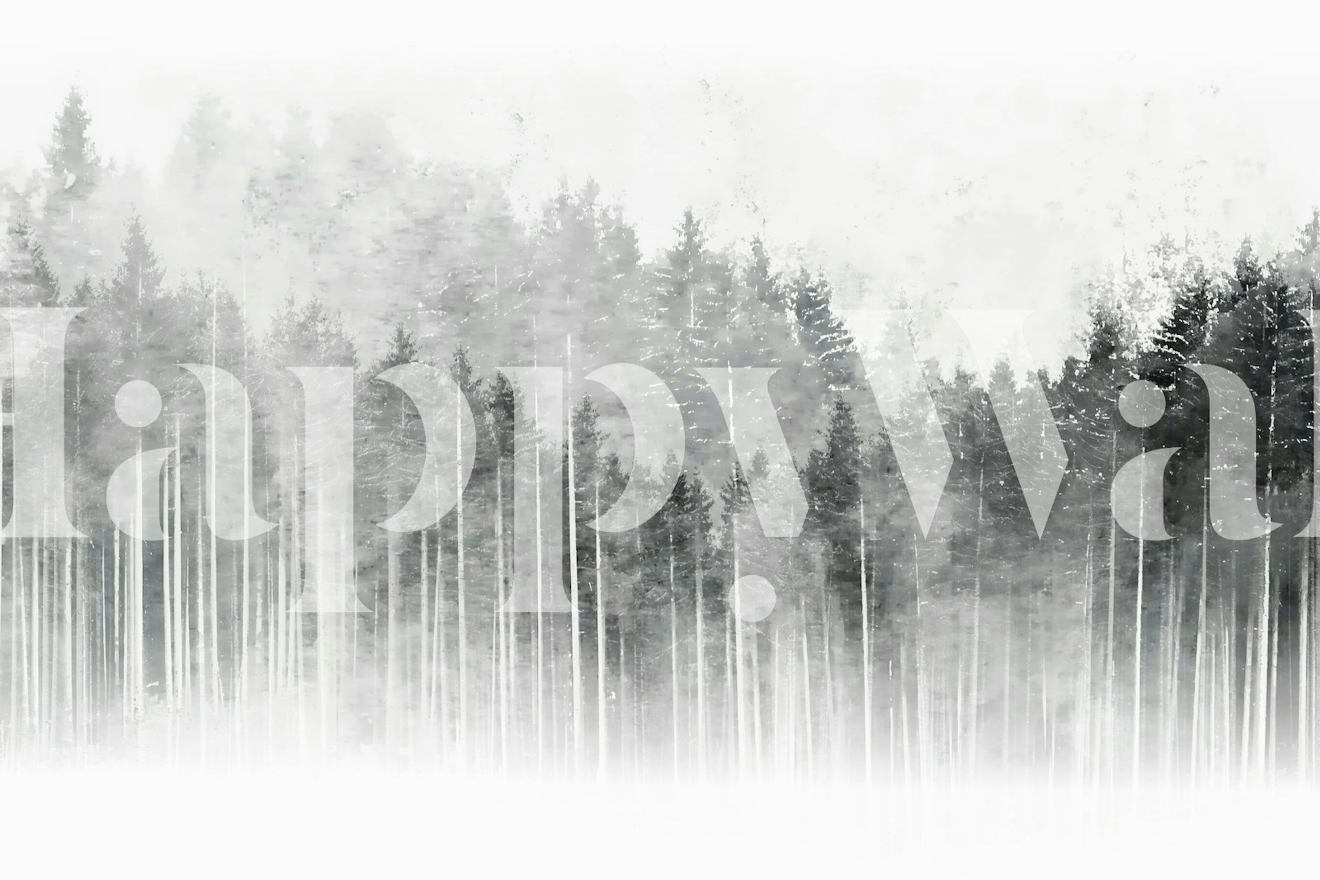 Misty forest black and white wallpaper in a room