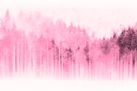 Pink Pine Wood Mist tapety