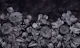 MOODY DARK BLACK BAROQUE FLORALS