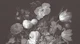 Moody Monochrome Dutch Florals I