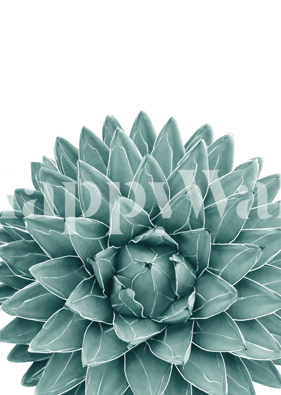 Papier peint mural en gros plan sur une plante d'agave vert