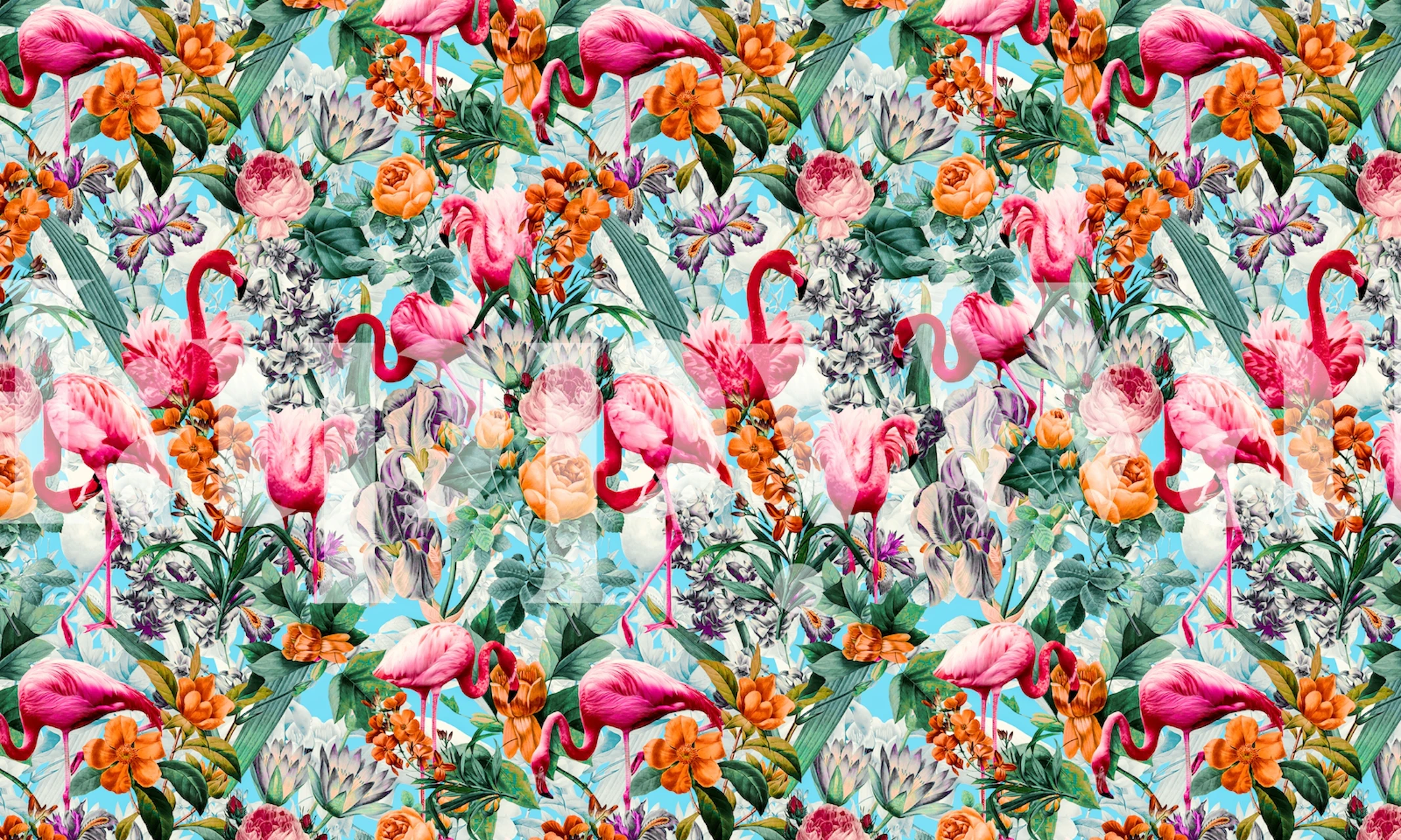 Colorful floral and flamingo pattern wallpaper in pink and orange hues