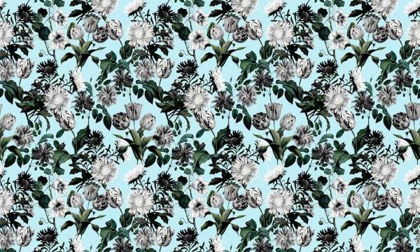 Summer Botanical Garden