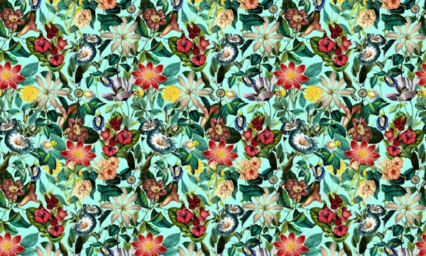 Summer Botanical Garden II