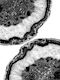 Yin Yang Agate Glitter Glam 3
