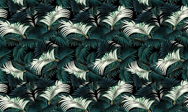 TROPICAL JUNGLE - Night I