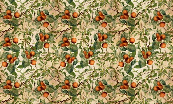 Vintage Fruit Pattern