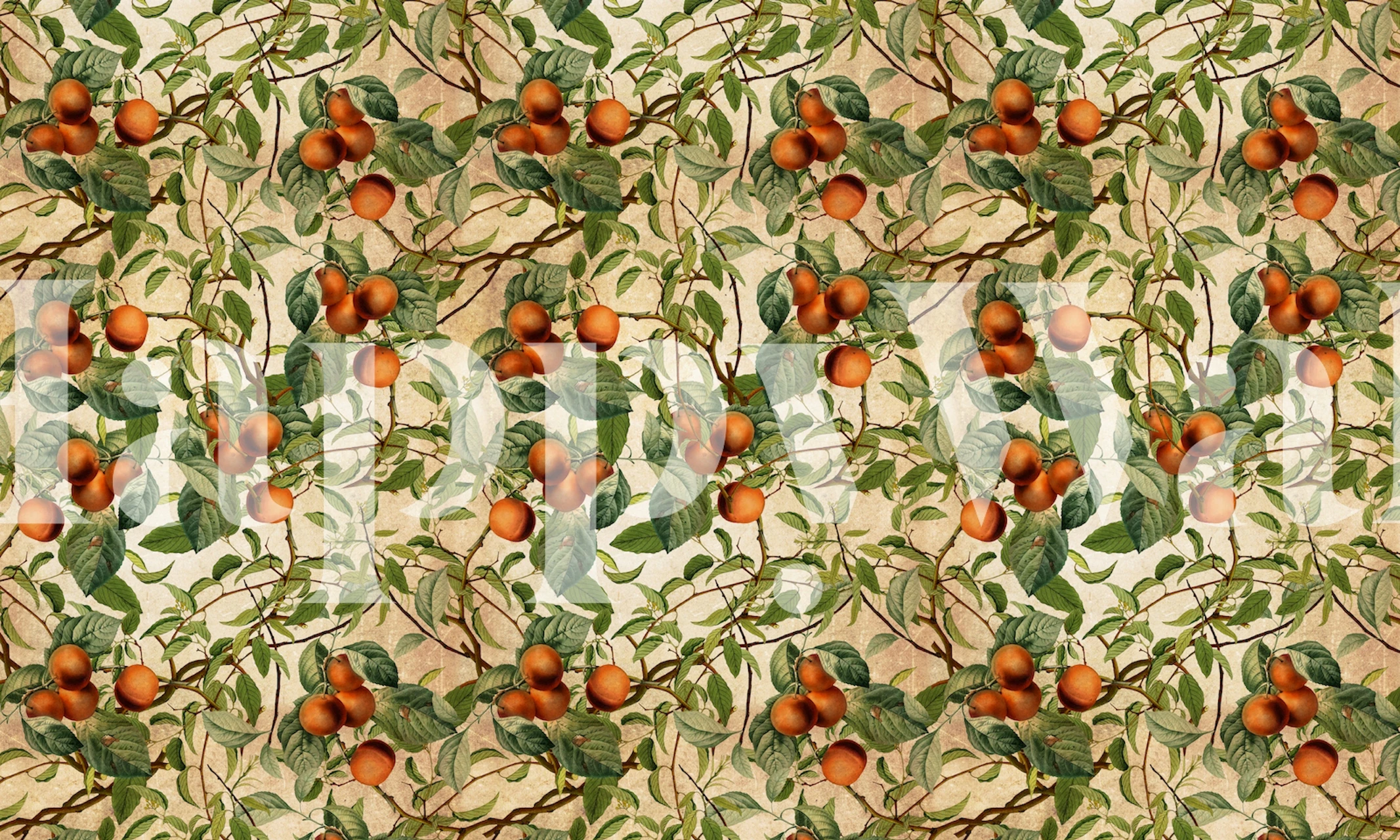 Ταπετσαρία Vintage Fruit Pattern σε ένα δωμάτιο