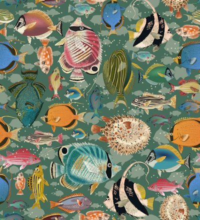 Pattern
