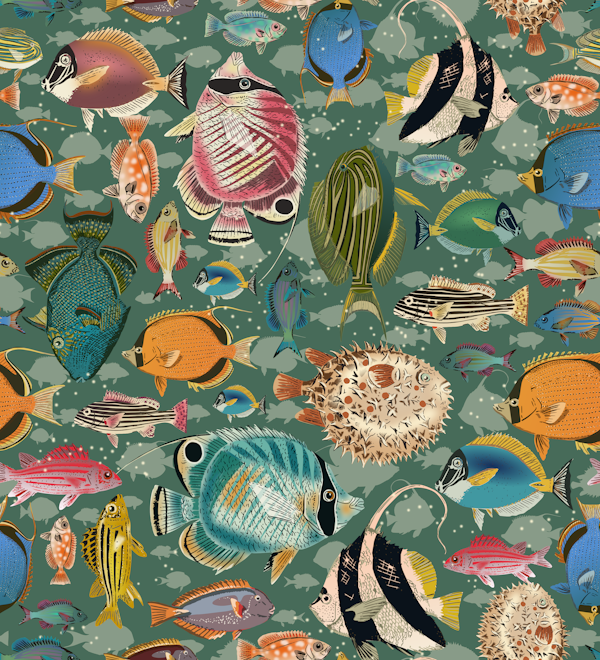 Fishes everywhere teal