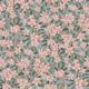 Oleander - peach