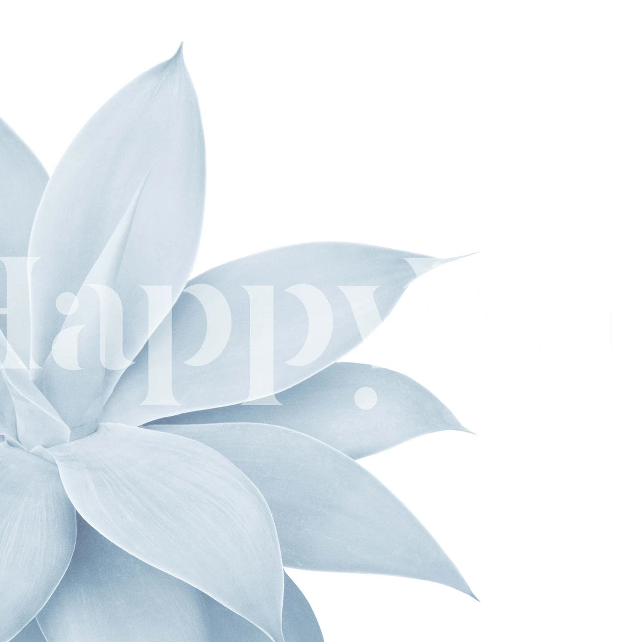 Close-up of an agave plant in pastel blue tones wall mural