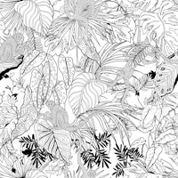 Monkeys in the tropical jungle papiers peint