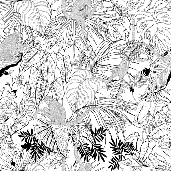 Monkeys in the tropical jungle