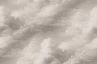 Dramatic Neutrals tapete
