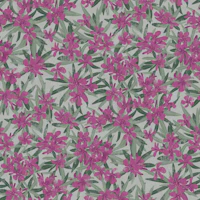 Oleander - purple papel de parede