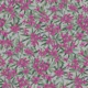 Oleander - purple
