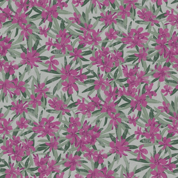Oleander - purple