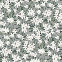 Oleander - white papiers peint