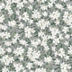 Oleander - white